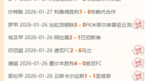 明年1月罗马队将签下巴西前锋莱昂纳多